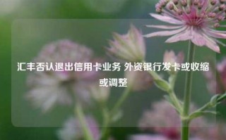 汇丰否认退出信用卡业务 外资银行发卡或收缩或调整