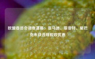 欧盟委员会调查落幕：亚马逊、菲亚特、星巴克未获违规税收优惠