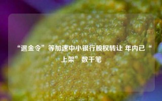 “退金令”等加速中小银行股权转让 年内已“上架”数千笔