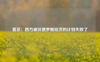 普京：西方破坏俄罗斯经济的计划失败了