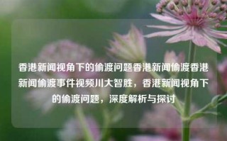 香港新闻视角下的偷渡问题香港新闻偷渡香港新闻偷渡事件视频川大智胜，香港新闻视角下的偷渡问题，深度解析与探讨，香港新闻视角下的偷渡问题深度解析与探讨