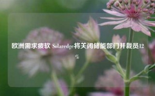 欧洲需求疲软 Solaredge将关闭储能部门并裁员12%