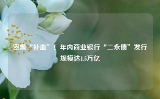 密集“补血”！年内商业银行“二永债”发行规模达1.5万亿