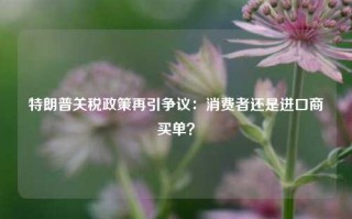 特朗普关税政策再引争议：消费者还是进口商买单？