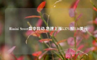 Rimini Street盘中异动 急速上涨5.37%报2.16美元