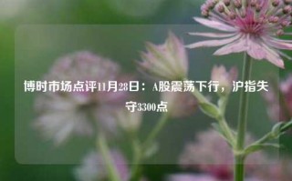 博时市场点评11月28日：A股震荡下行，沪指失守3300点