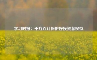 学习时报：千方百计保护好投资者权益