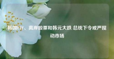 韩国ETF、离岸股票和韩元大跌 总统下令戒严搅动市场