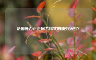 法国是否正走向希腊式的债务危机？