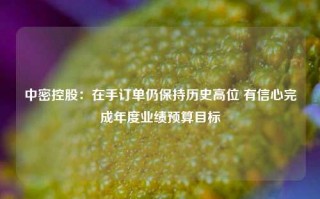 中密控股：在手订单仍保持历史高位 有信心完成年度业绩预算目标