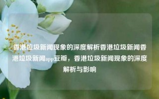 香港垃圾新闻现象的深度解析香港垃圾新闻香港垃圾新闻app豆瓣，香港垃圾新闻现象的深度解析与影响，香港垃圾新闻现象的深度解析与影响