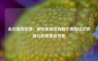 金价强势反弹，明年表现或有赖于美国经济表现与政策落地节奏