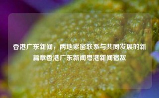 香港广东新闻，两地紧密联系与共同发展的新篇章香港广东新闻粤港新闻宿敌