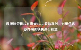 欧盟监管机构在审查Run:ai收购案时，对英伟达硬件捆绑销售进行调查