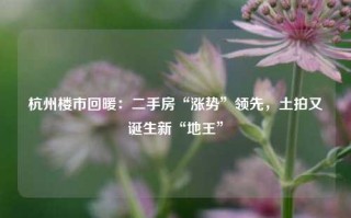 杭州楼市回暖：二手房“涨势”领先，土拍又诞生新“地王”