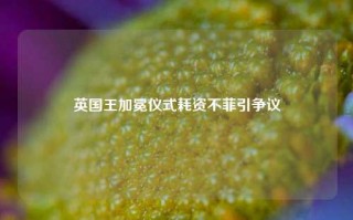 英国王加冕仪式耗资不菲引争议