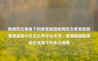 新闻综合视角下的香港丽园新闻综合香港丽园香港丽园小区怎么样中山大学，香港丽园新闻综合视角下的多元观察，香港丽园新闻综合视角下的多元观察