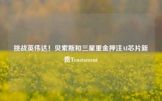 挑战英伟达！贝索斯和三星重金押注AI芯片新贵Tenstorrent