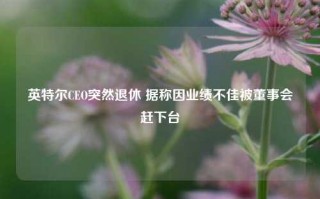 英特尔CEO突然退休 据称因业绩不佳被董事会赶下台