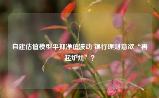 自建估值模型平抑净值波动 银行理财意欲“再起炉灶”？