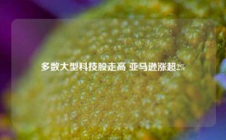 多数大型科技股走高 亚马逊涨超2%