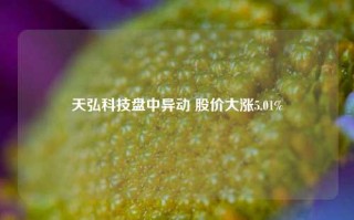 天弘科技盘中异动 股价大涨5.01%