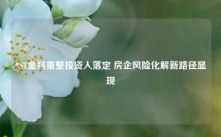 *ST金科重整投资人落定 房企风险化解新路径显现