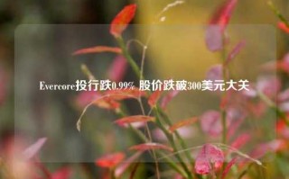 Evercore投行跌0.99% 股价跌破300美元大关