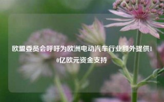 欧盟委员会呼吁为欧洲电动汽车行业额外提供10亿欧元资金支持