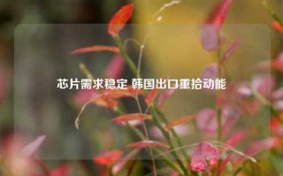 芯片需求稳定 韩国出口重拾动能