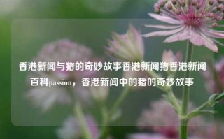 香港新闻与猪的奇妙故事香港新闻猪香港新闻百科passion，香港新闻中的猪的奇妙故事，香港新闻中的猪的奇妙故事与香港新闻百科的交汇点