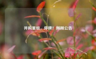 并购重组，停牌！刚刚公告