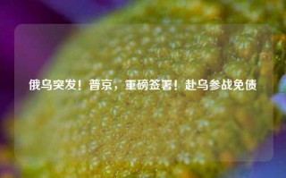 俄乌突发！普京，重磅签署！赴乌参战免债