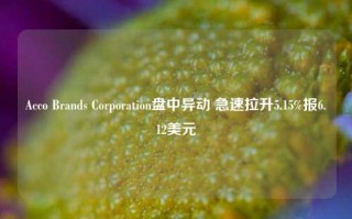 Acco Brands Corporation盘中异动 急速拉升5.15%报6.12美元