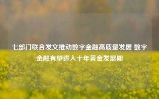 七部门联合发文推动数字金融高质量发展 数字金融有望进入十年黄金发展期