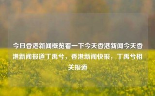 今日香港新闻概览看一下今天香港新闻今天香港新闻报道丁禹兮，香港新闻快报，丁禹兮相关报道，香港新闻快报，丁禹兮相关报道概览