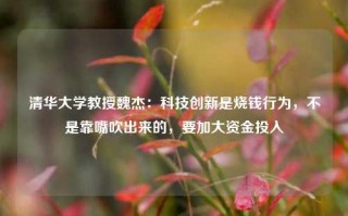 清华大学教授魏杰：科技创新是烧钱行为，不是靠嘴吹出来的，要加大资金投入