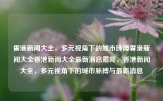 香港新闻大全，多元视角下的城市脉搏香港新闻大全香港新闻大全最新消息霜降，香港新闻大全，多元视角下的城市脉搏与最新消息，香港新闻多元视角下的城市脉搏与最新消息汇总