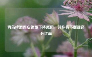 青岛啤酒回应销量下降原因，并称将不断提高分红率