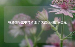 铭腾国际盘中异动 股价大跌6.04%报5.60美元