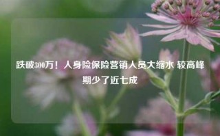 跌破300万！人身险保险营销人员大缩水 较高峰期少了近七成