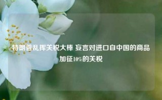 特朗普乱挥关税大棒 妄言对进口自中国的商品加征10%的关税