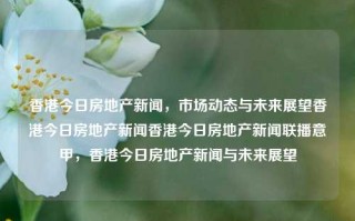 香港今日房地产新闻，市场动态与未来展望香港今日房地产新闻香港今日房地产新闻联播意甲，香港今日房地产新闻与未来展望，香港房地产新闻联播，市场动态与未来展望