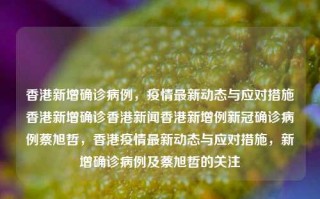 香港新增确诊病例，疫情最新动态与应对措施香港新增确诊香港新闻香港新增例新冠确诊病例蔡旭哲，香港疫情最新动态与应对措施，新增确诊病例及蔡旭哲的关注，香港疫情最新动态与应对措施，新增确诊病例及蔡旭哲的关注