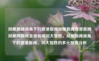 凤凰新闻视角下的香港新闻凤凰新闻香港新闻凤凰网新闻香港新闻川大智胜，凤凰新闻视角下的香港新闻，川大智胜的多元报道分析，凤凰新闻视角下的川大智胜与香港新闻多元报道分析