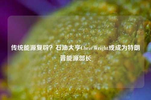 传统能源复辟？石油大亨Chris Wright或成为特朗普能源部长