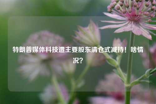 特朗普媒体科技遭主要股东清仓式减持！啥情况？