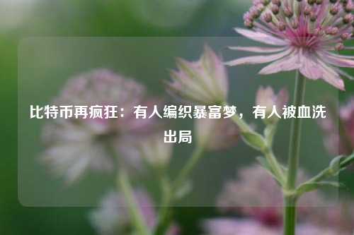 比特币再疯狂：有人编织暴富梦，有人被血洗出局