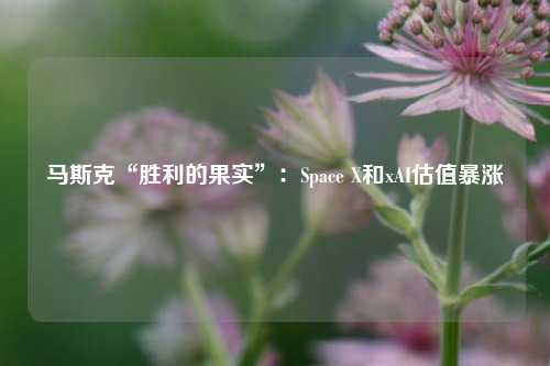 马斯克“胜利的果实”：Space X和xAI估值暴涨