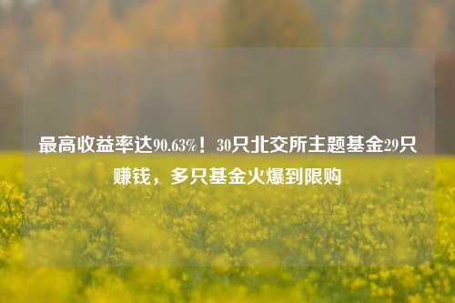 最高收益率达90.63%！30只北交所主题基金29只赚钱，多只基金火爆到限购